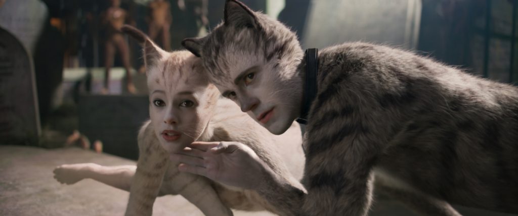 cats quiz