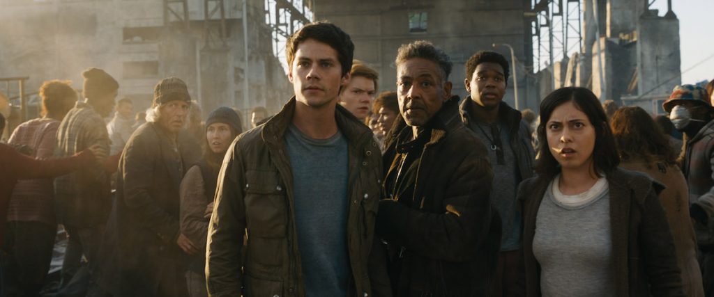 maze runner the death cure quiz