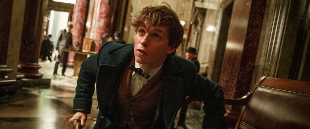 fantastic beasts and where to find them quiz