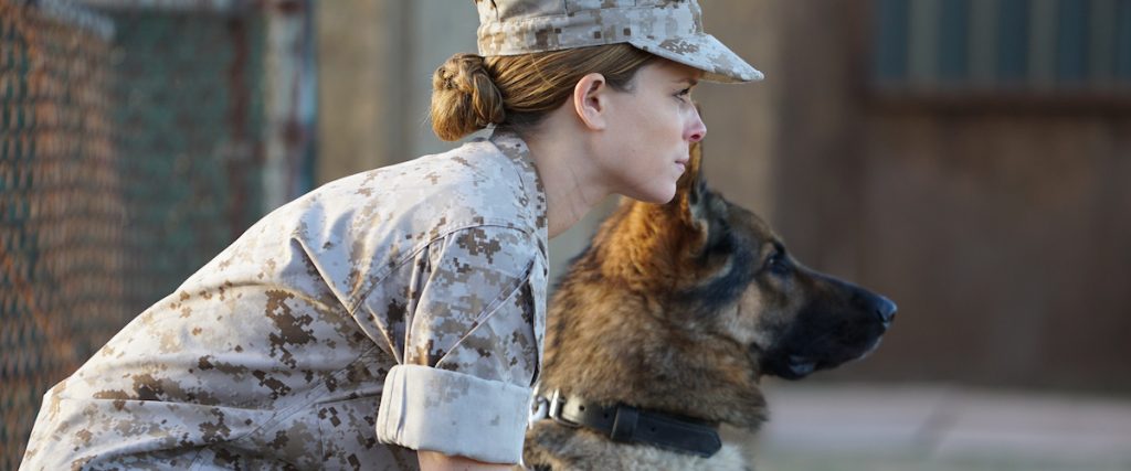 megan leavey quiz