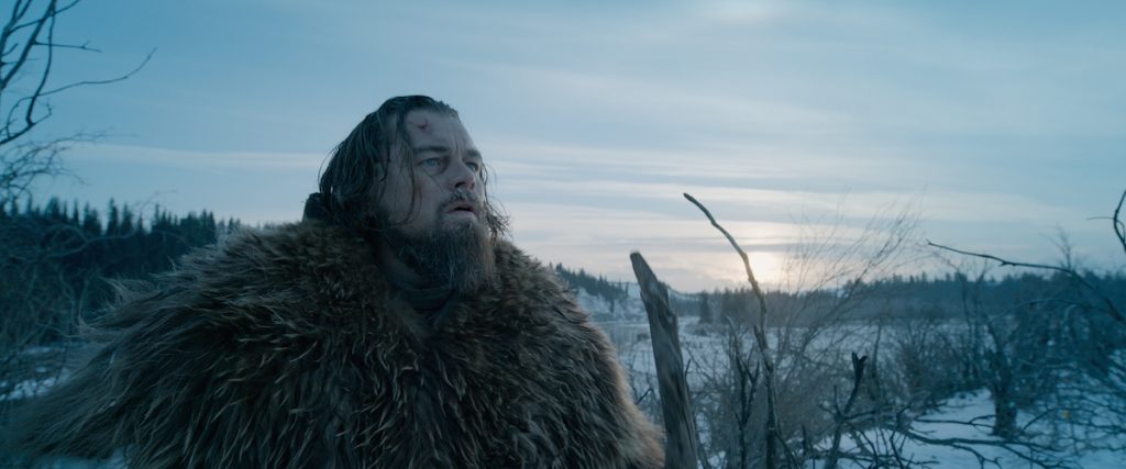 the revenant quiz