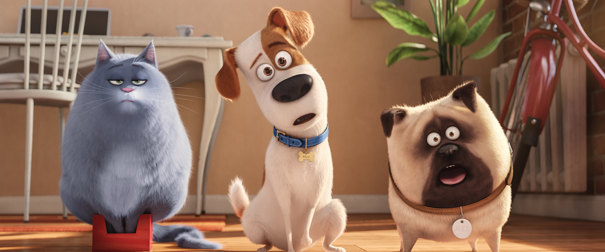 the secret life of pets quiz