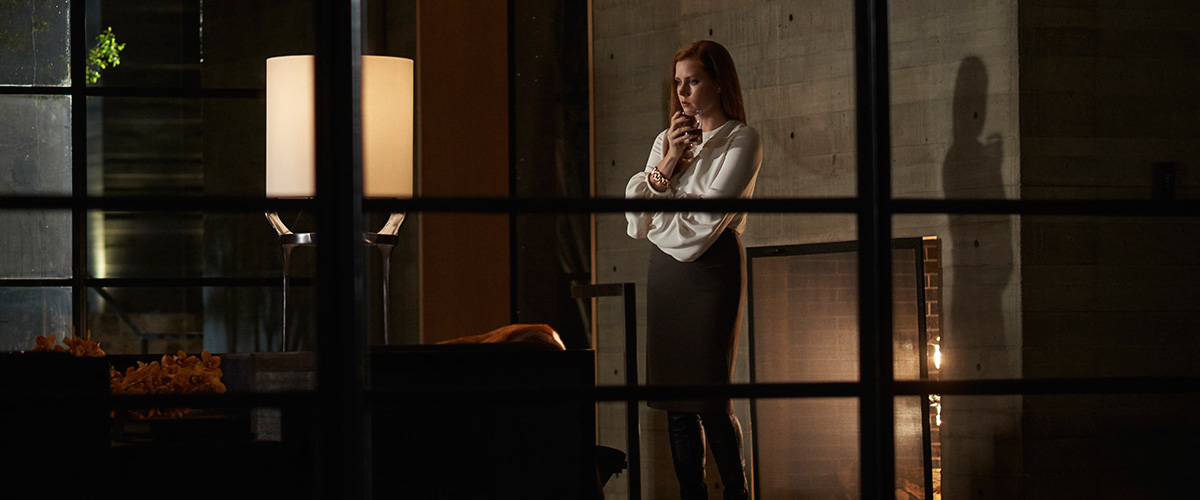nocturnal animals quiz