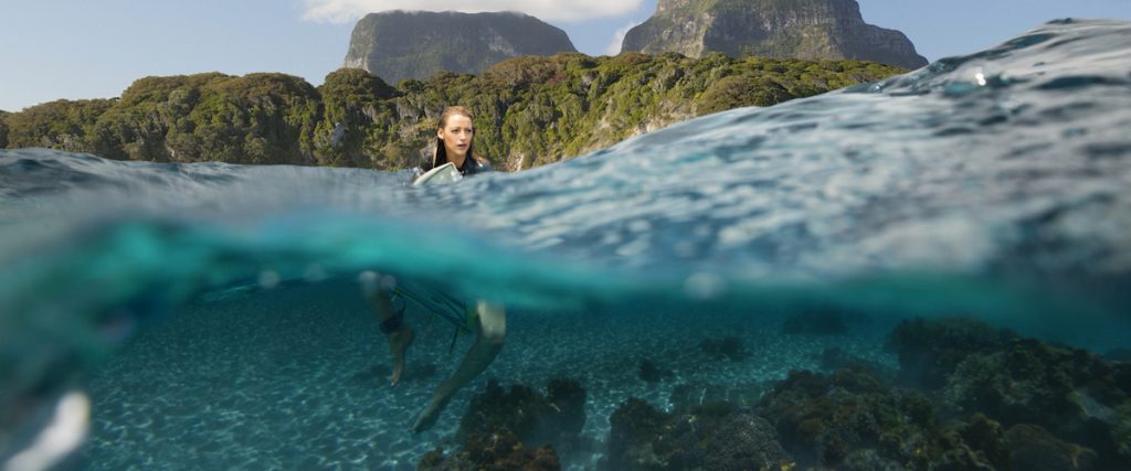 the shallows quiz