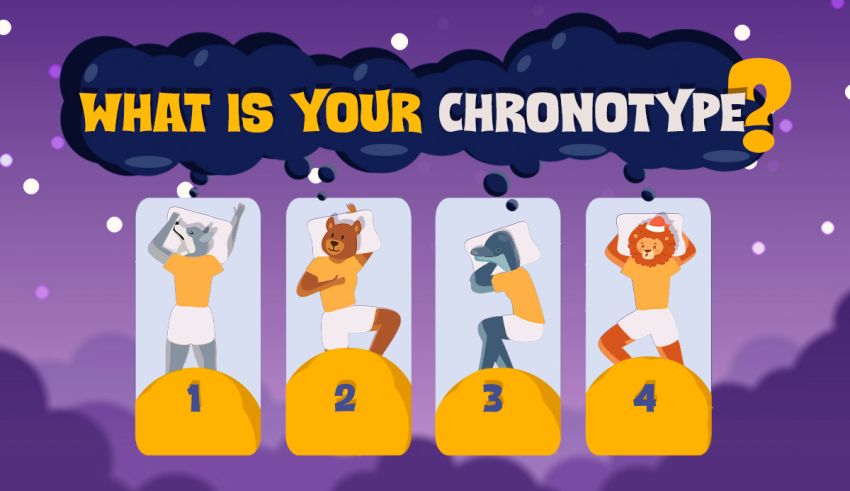 what is your chronotype quiz