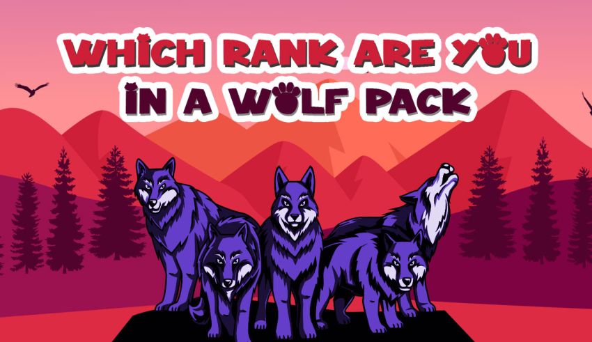 which rank are you in a wolf pack