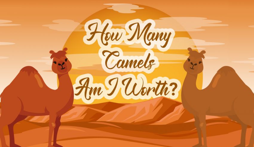 how many camels am i worth calculator
