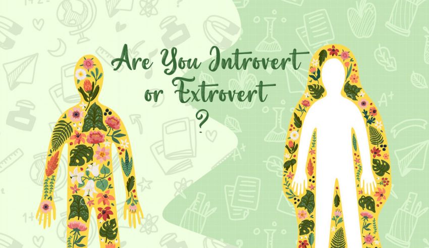 introvert or extrovert quiz