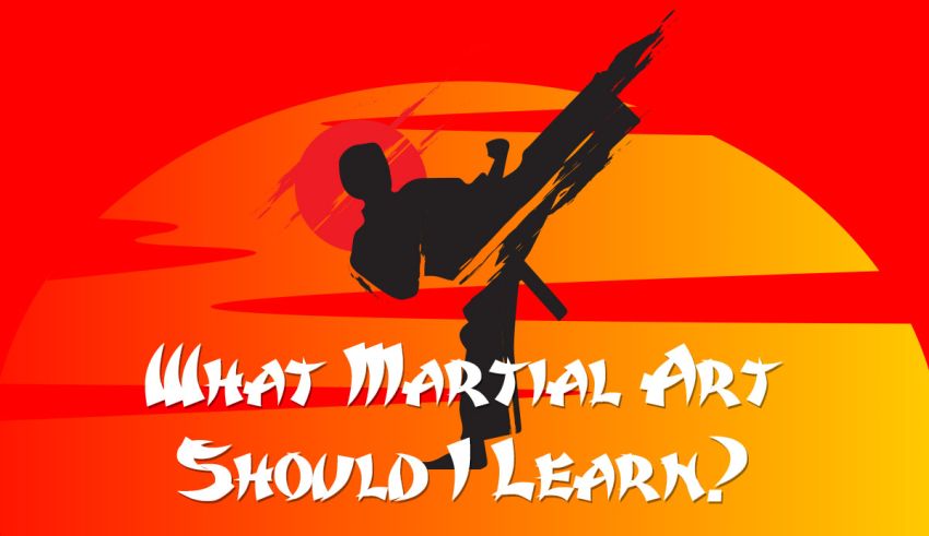 quiz what martial art should i learn
