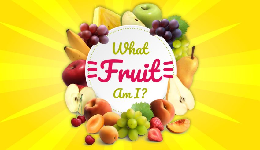 what fruit are you